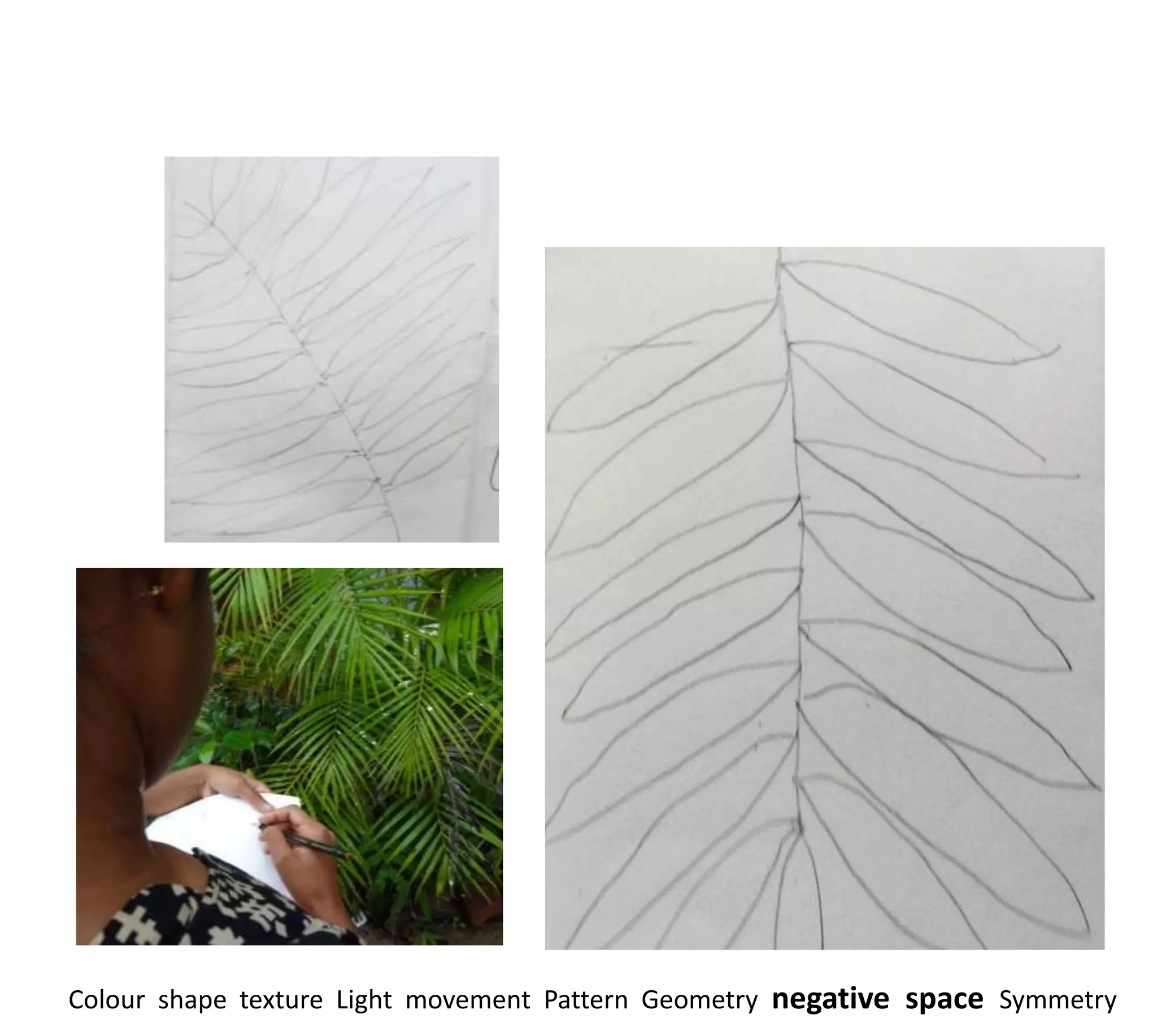 Colour shape texture Light movement Pattern Geometry negative space Symmetry
 