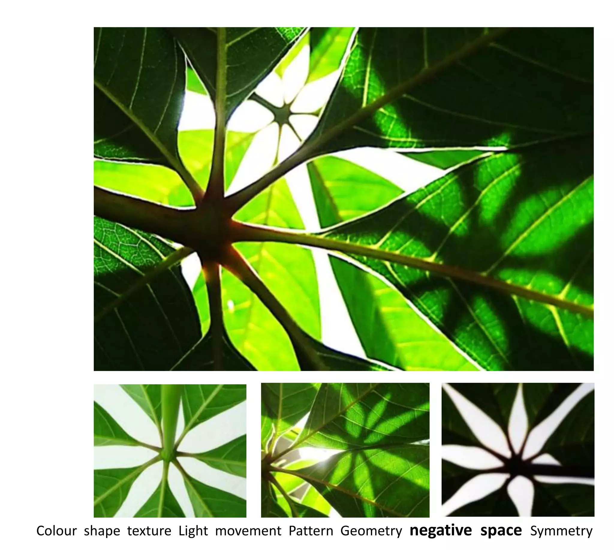 Colour shape texture Light movement Pattern Geometry negative space Symmetry
 