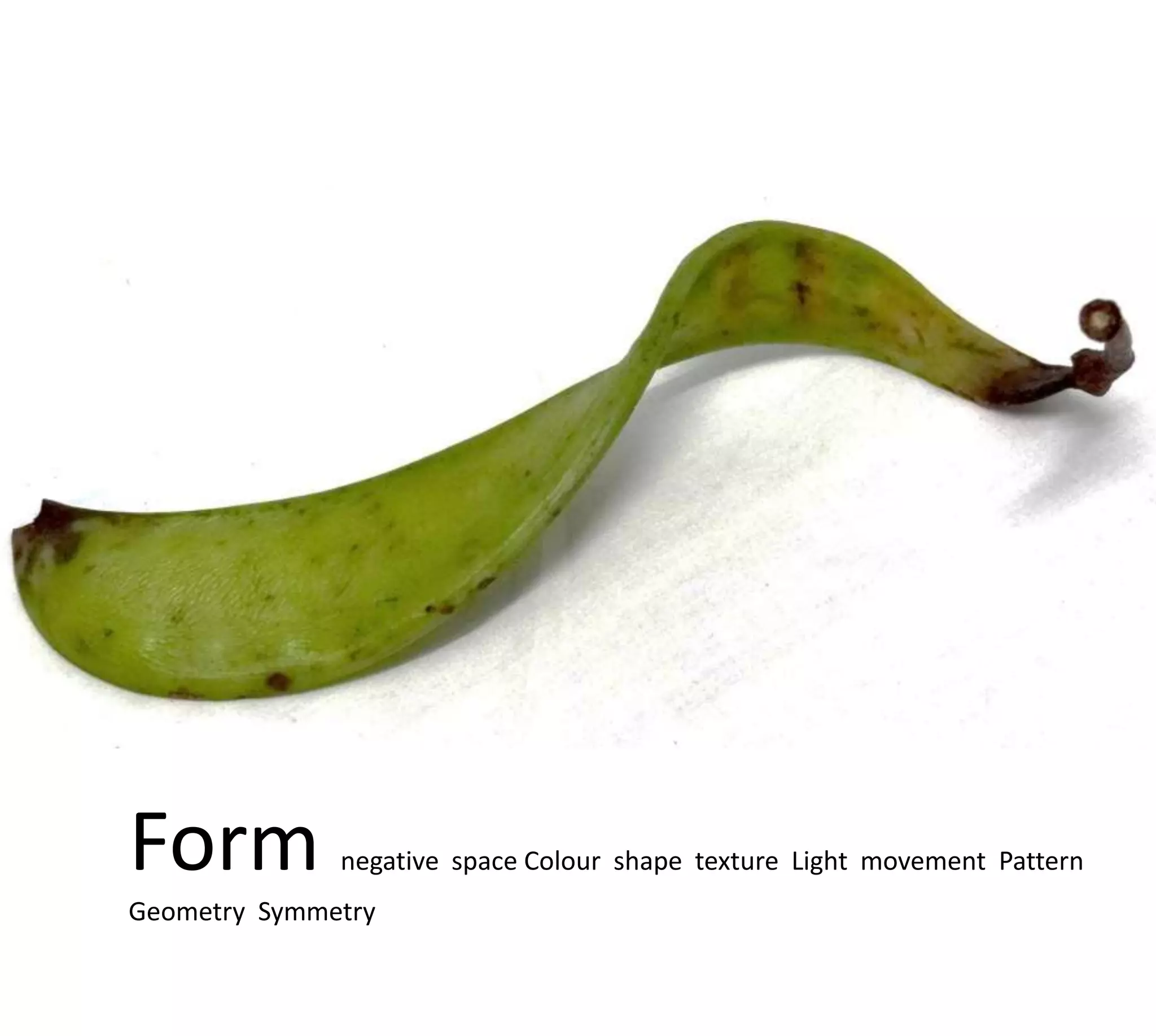 Form          negative space Colour shape texture Light movement Pattern
Geometry Symmetry
 