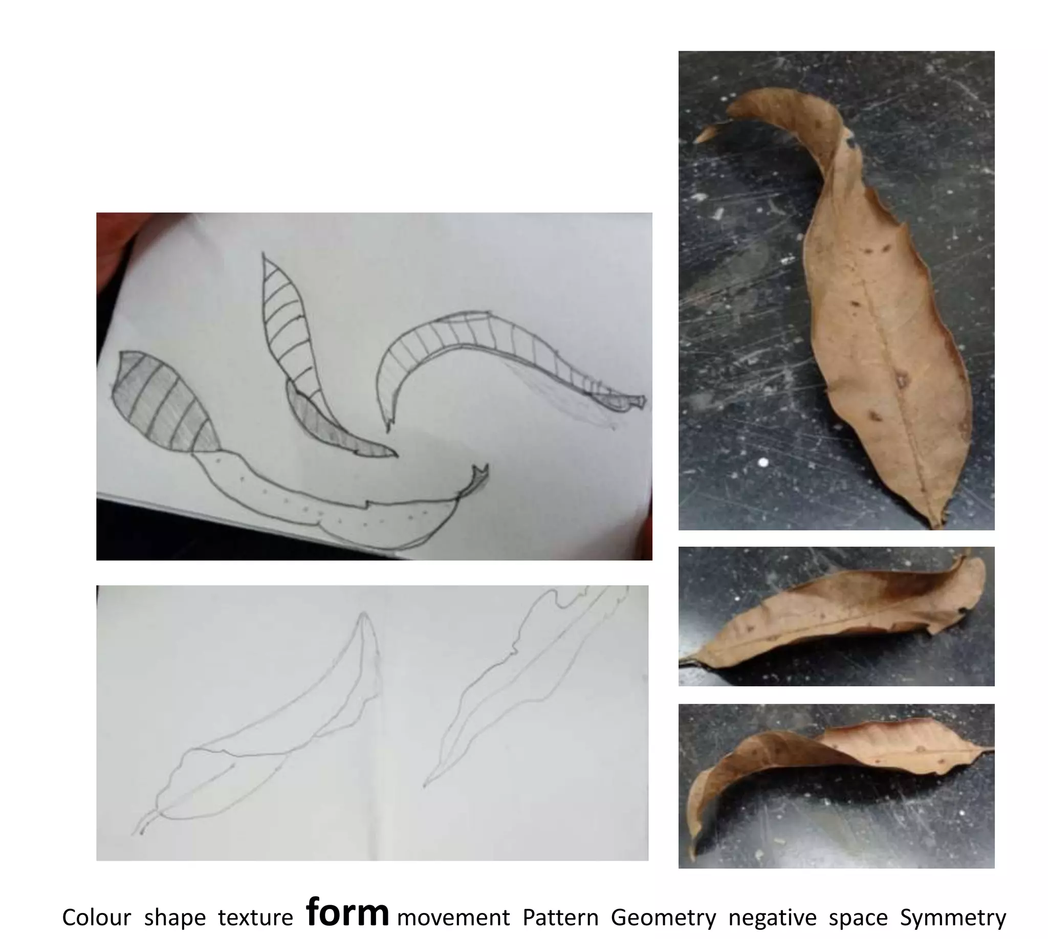 Colour shape texture   form movement Pattern Geometry negative space Symmetry
 