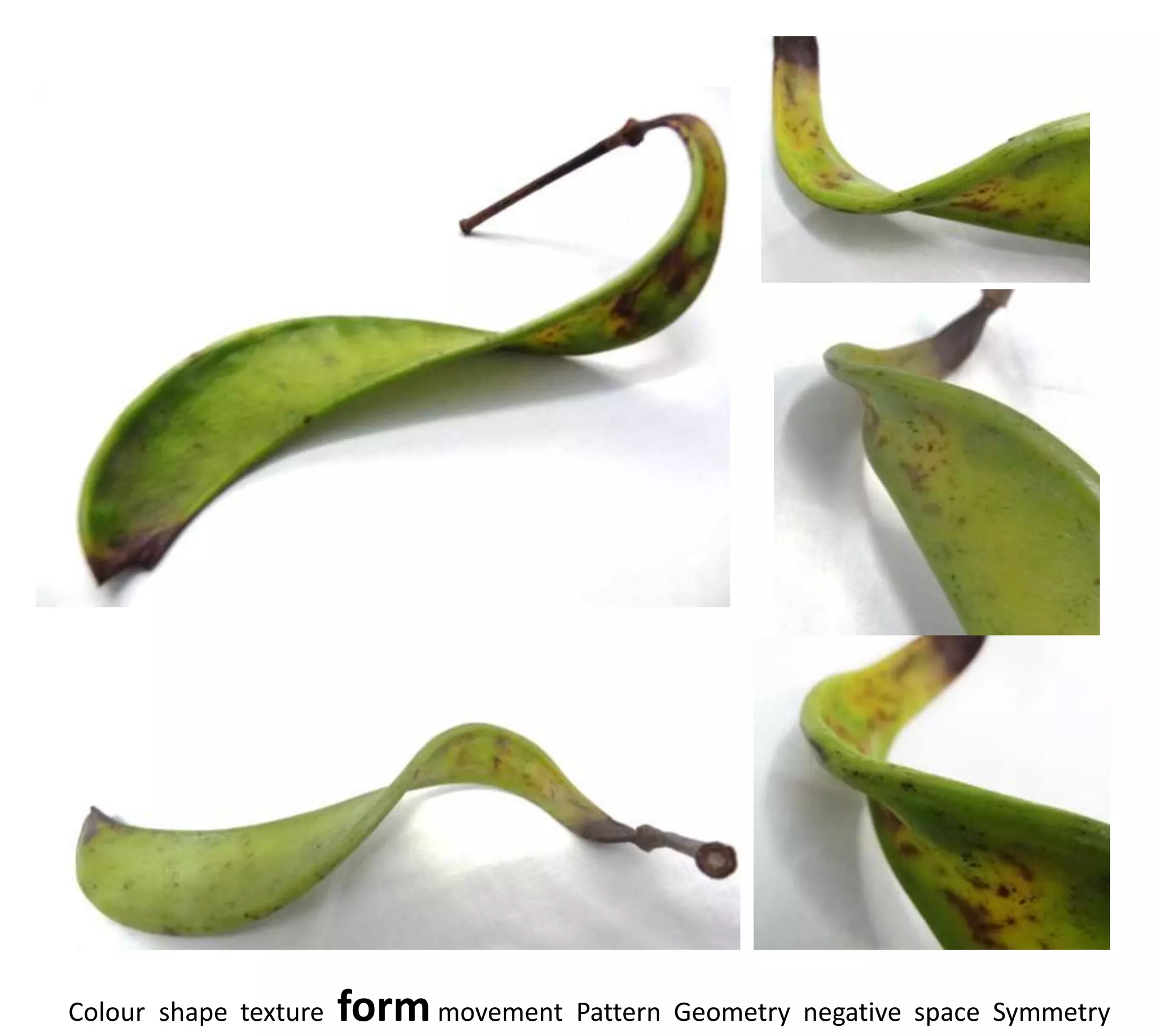 Colour shape texture   form movement Pattern Geometry negative space Symmetry
 