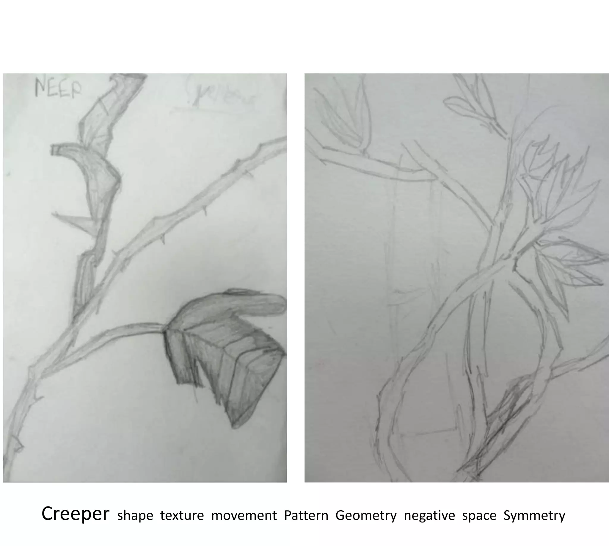 Creeper   shape texture movement Pattern Geometry negative space Symmetry
 