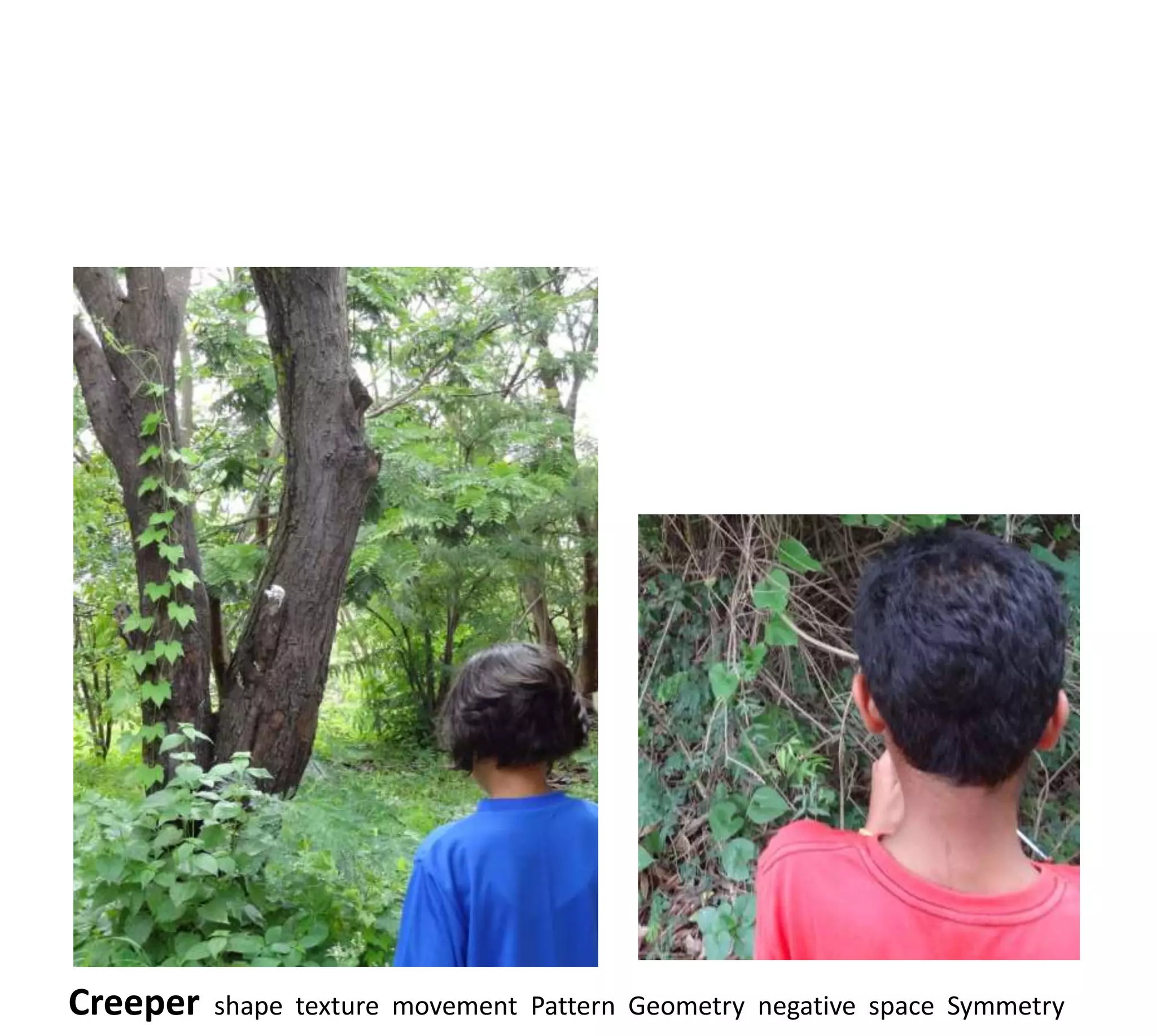 Creeper   shape texture movement Pattern Geometry negative space Symmetry
 