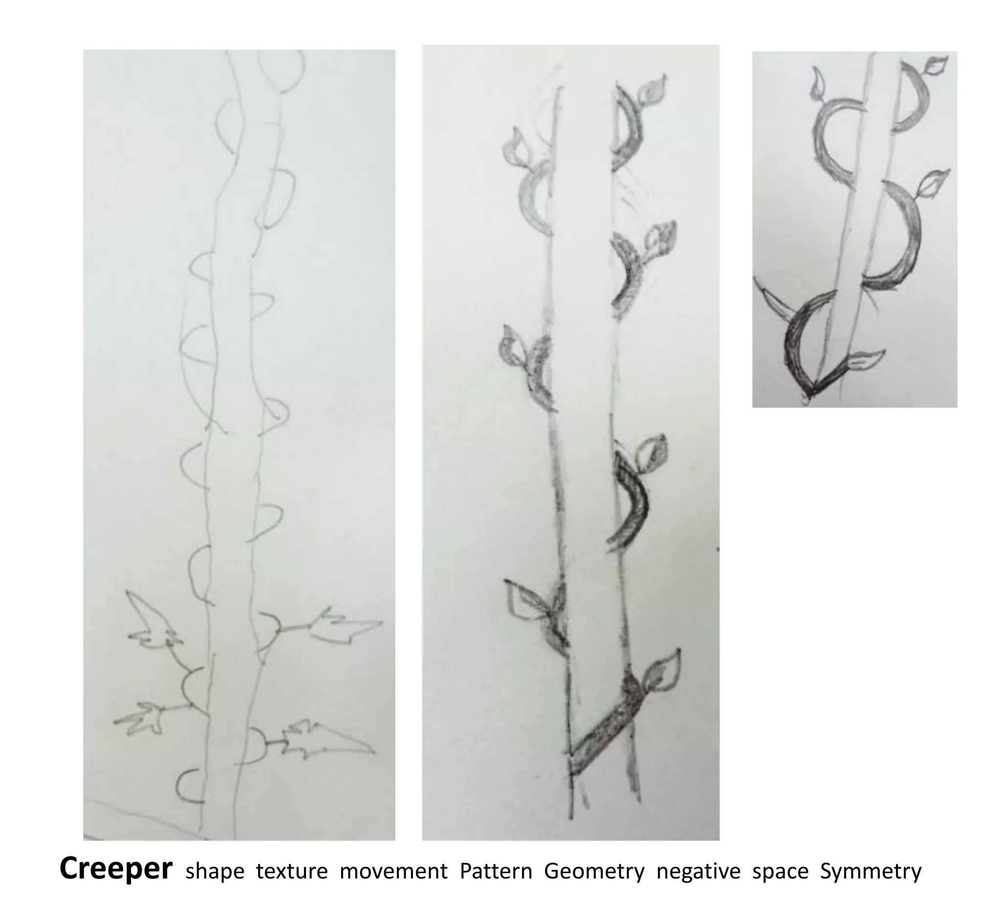 Creeper   shape texture movement Pattern Geometry negative space Symmetry
 