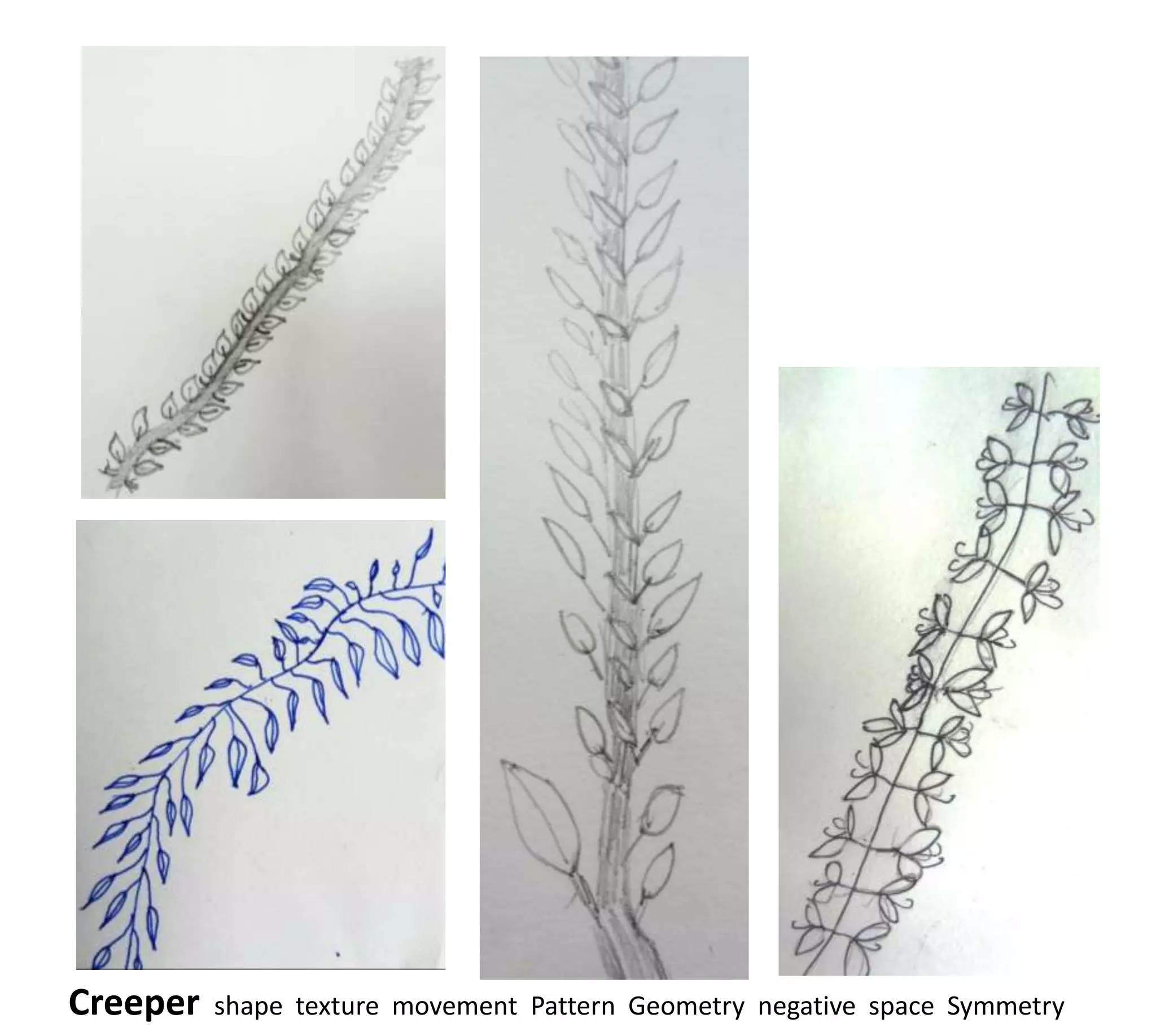 Creeper   shape texture movement Pattern Geometry negative space Symmetry
 