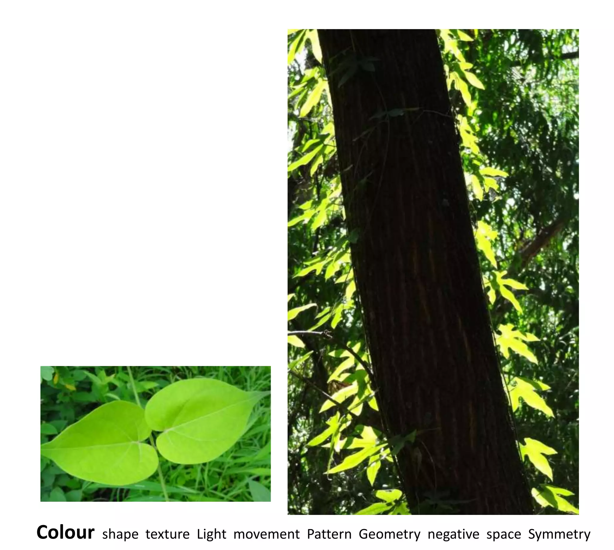 Colour   shape texture Light movement Pattern Geometry negative space Symmetry
 