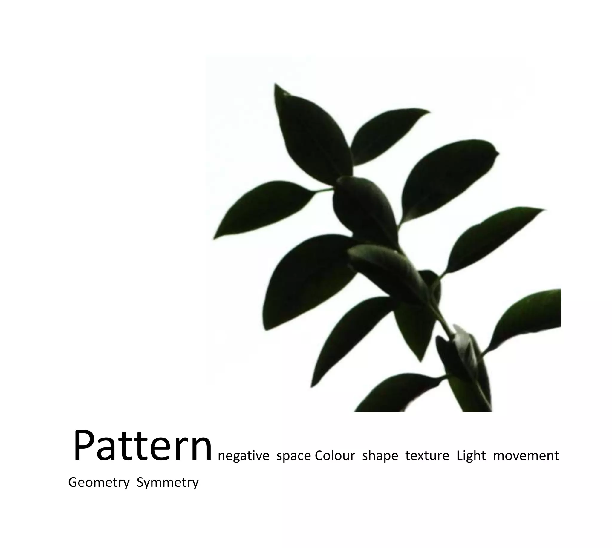 Pattern             negative space Colour shape texture Light movement
Geometry Symmetry
 