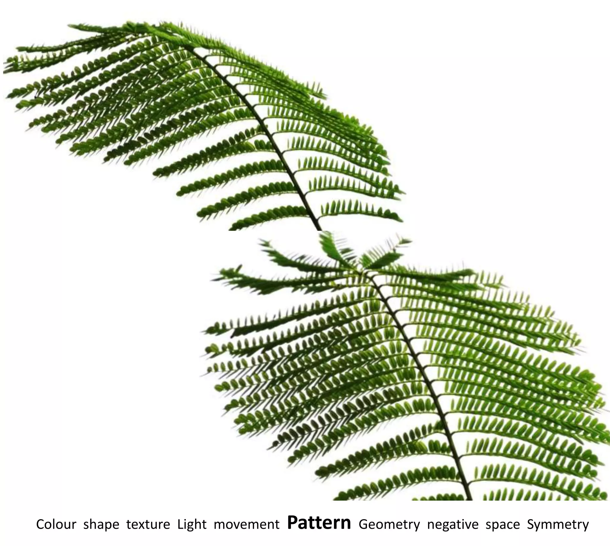 Colour shape texture Light movement   Pattern   Geometry negative space Symmetry
 