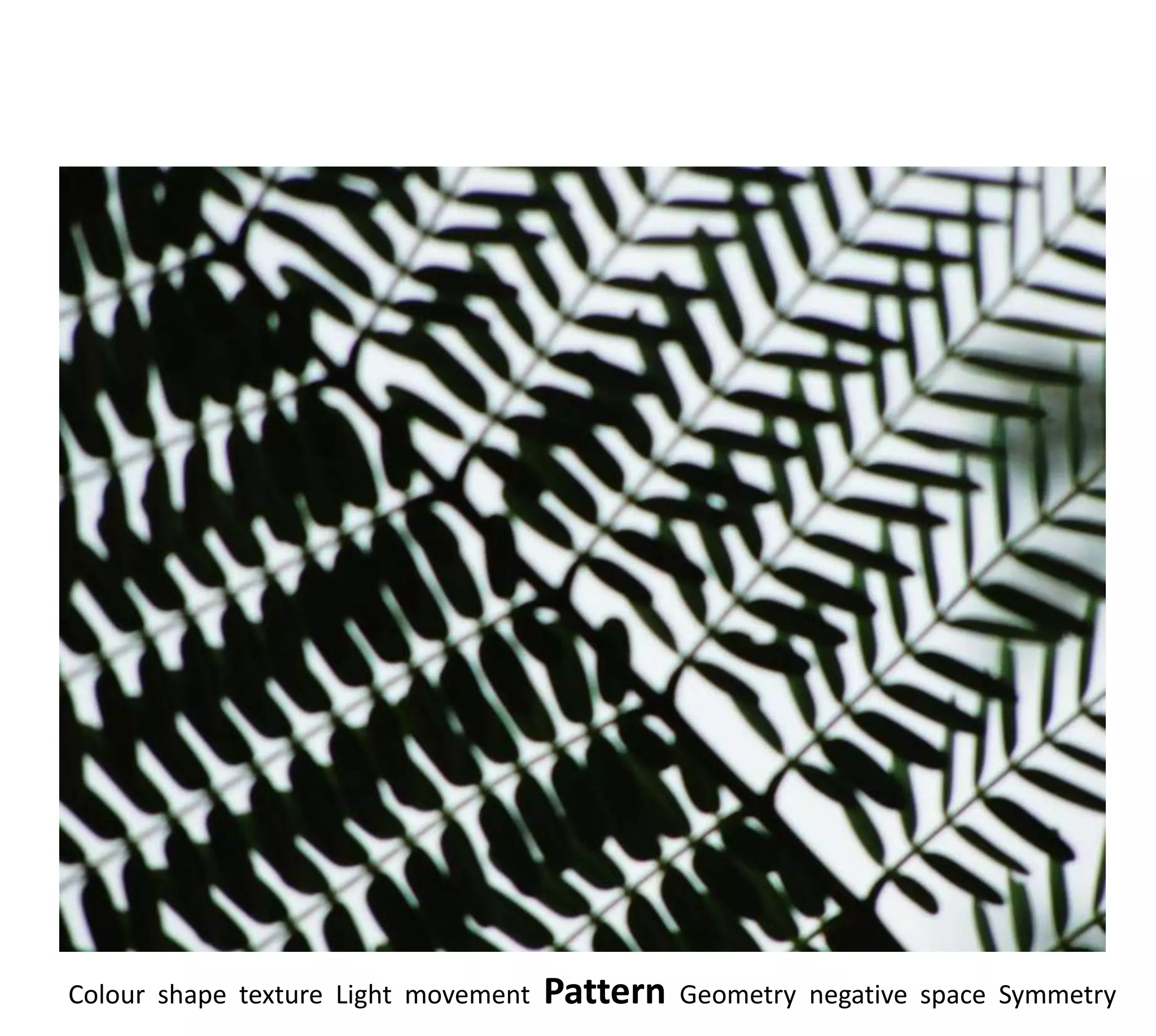 Colour shape texture Light movement   Pattern   Geometry negative space Symmetry
 