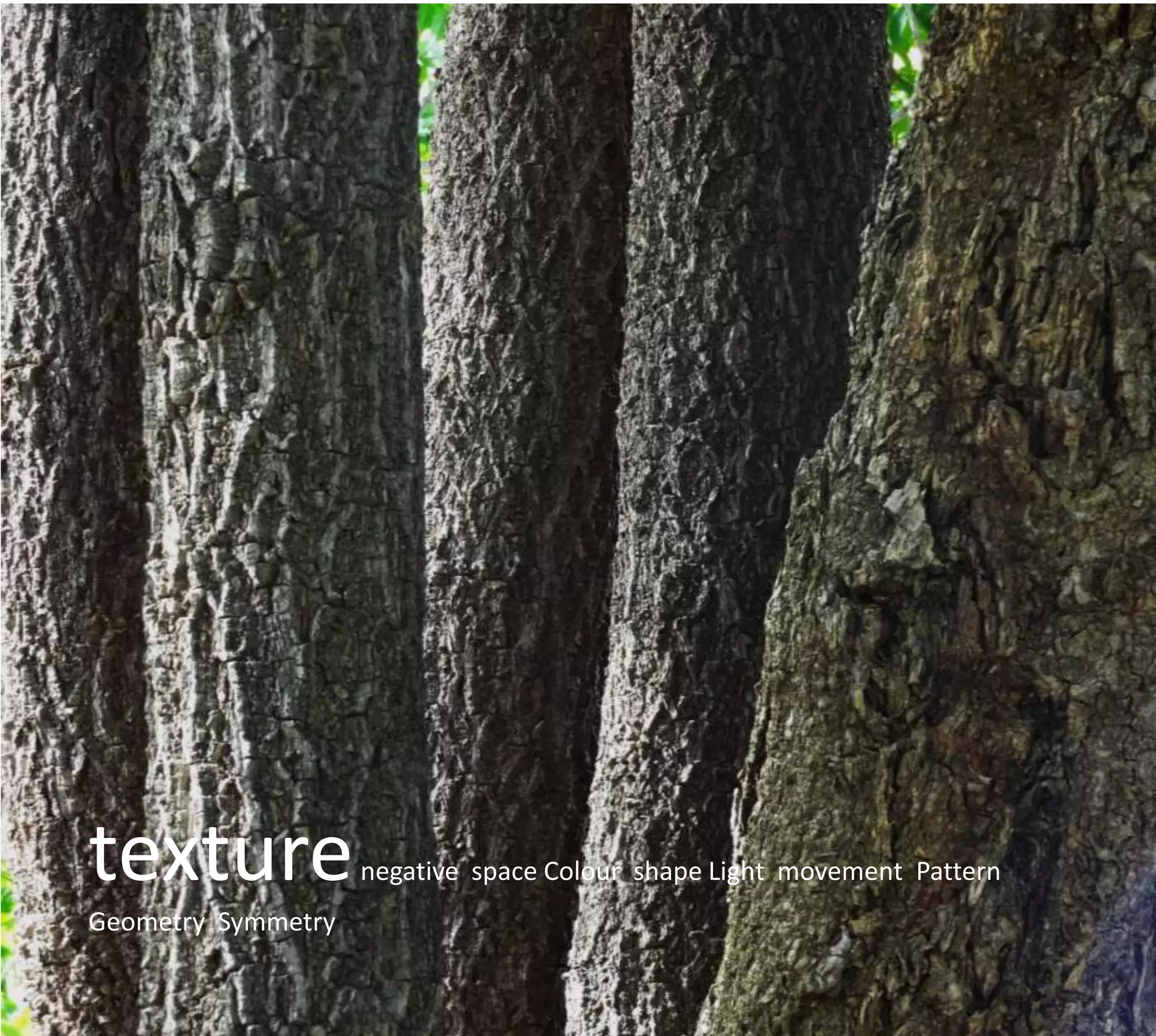 texture             negative space Colour shape Light movement Pattern
Geometry Symmetry
 