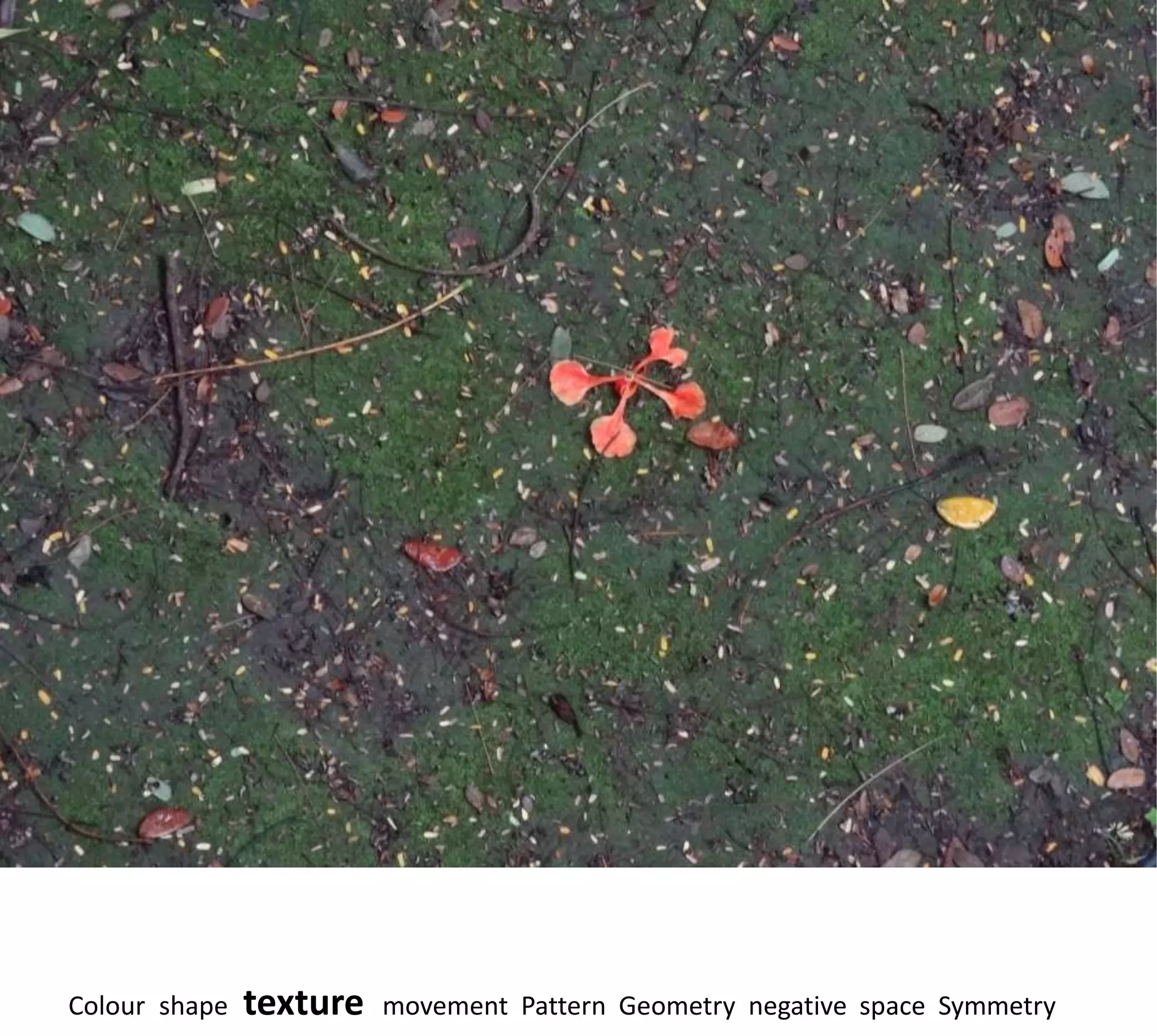 Colour shape   texture   movement Pattern Geometry negative space Symmetry
 