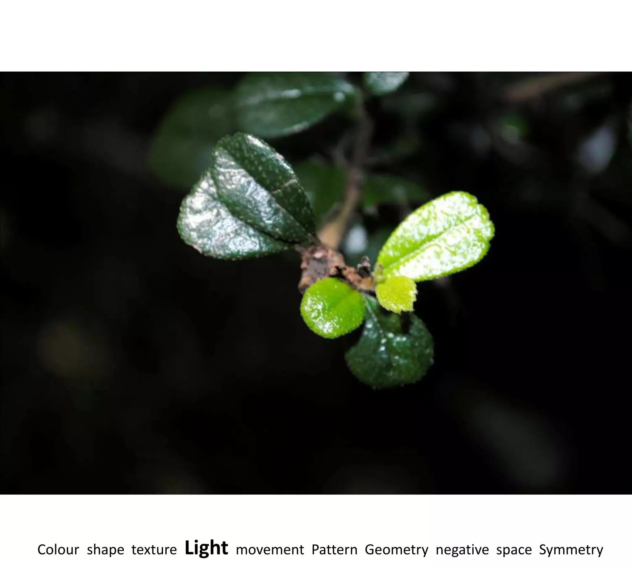 Colour shape texture   Light   movement Pattern Geometry negative space Symmetry
 