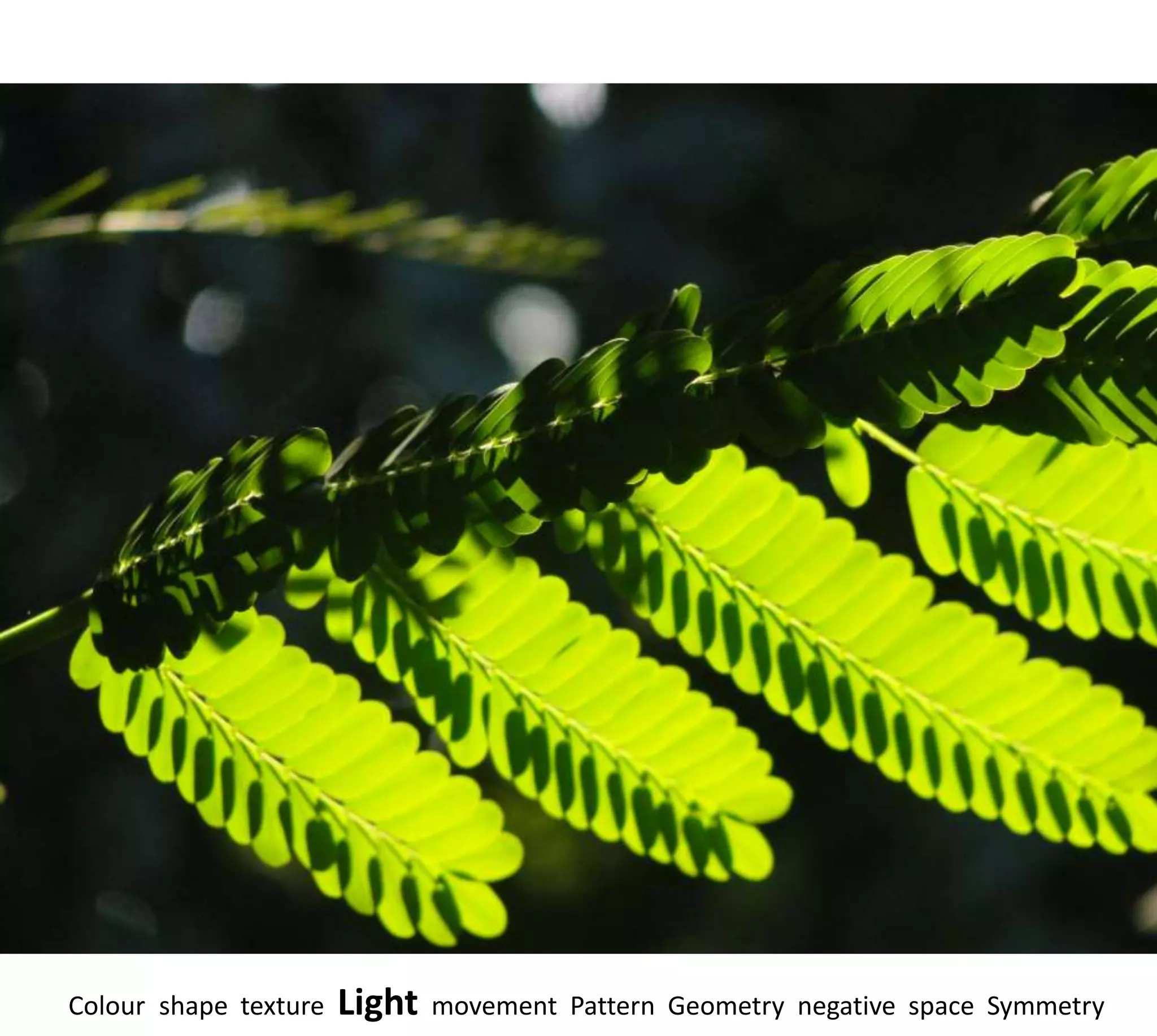 Colour shape texture   Light   movement Pattern Geometry negative space Symmetry
 