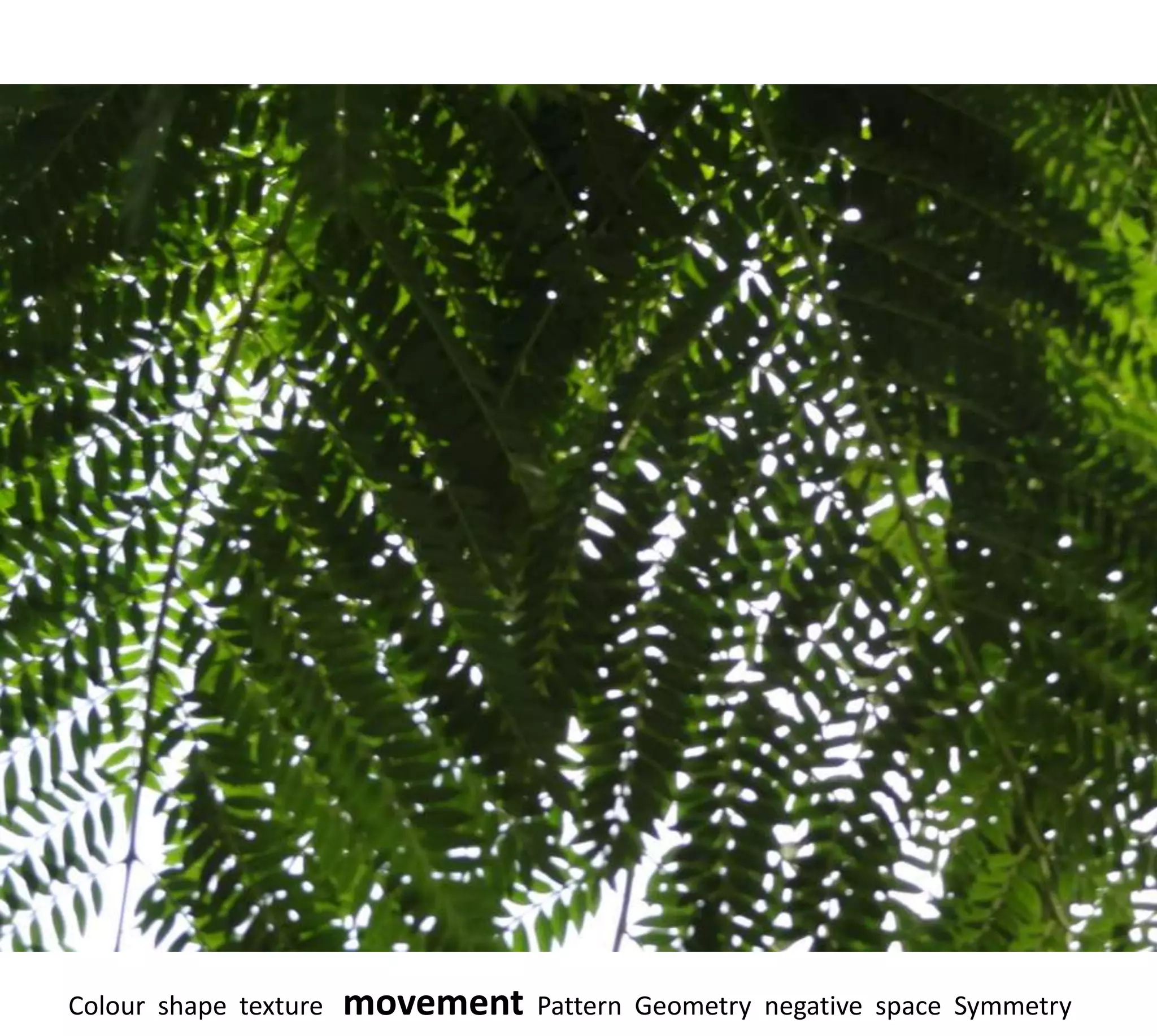 Colour shape texture   movement   Pattern Geometry negative space Symmetry
 