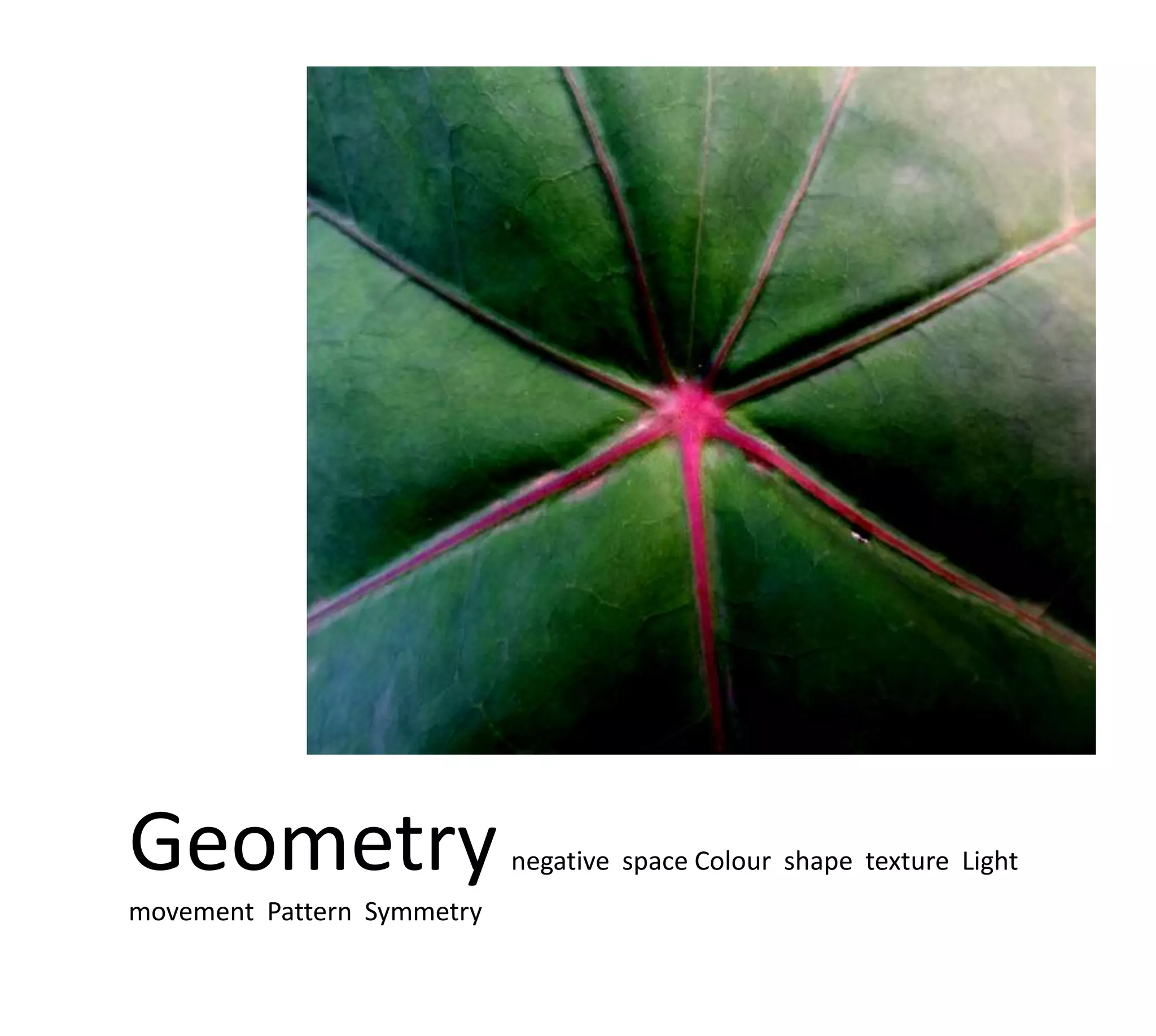 Geometry                    negative space Colour shape texture Light
movement Pattern Symmetry
 