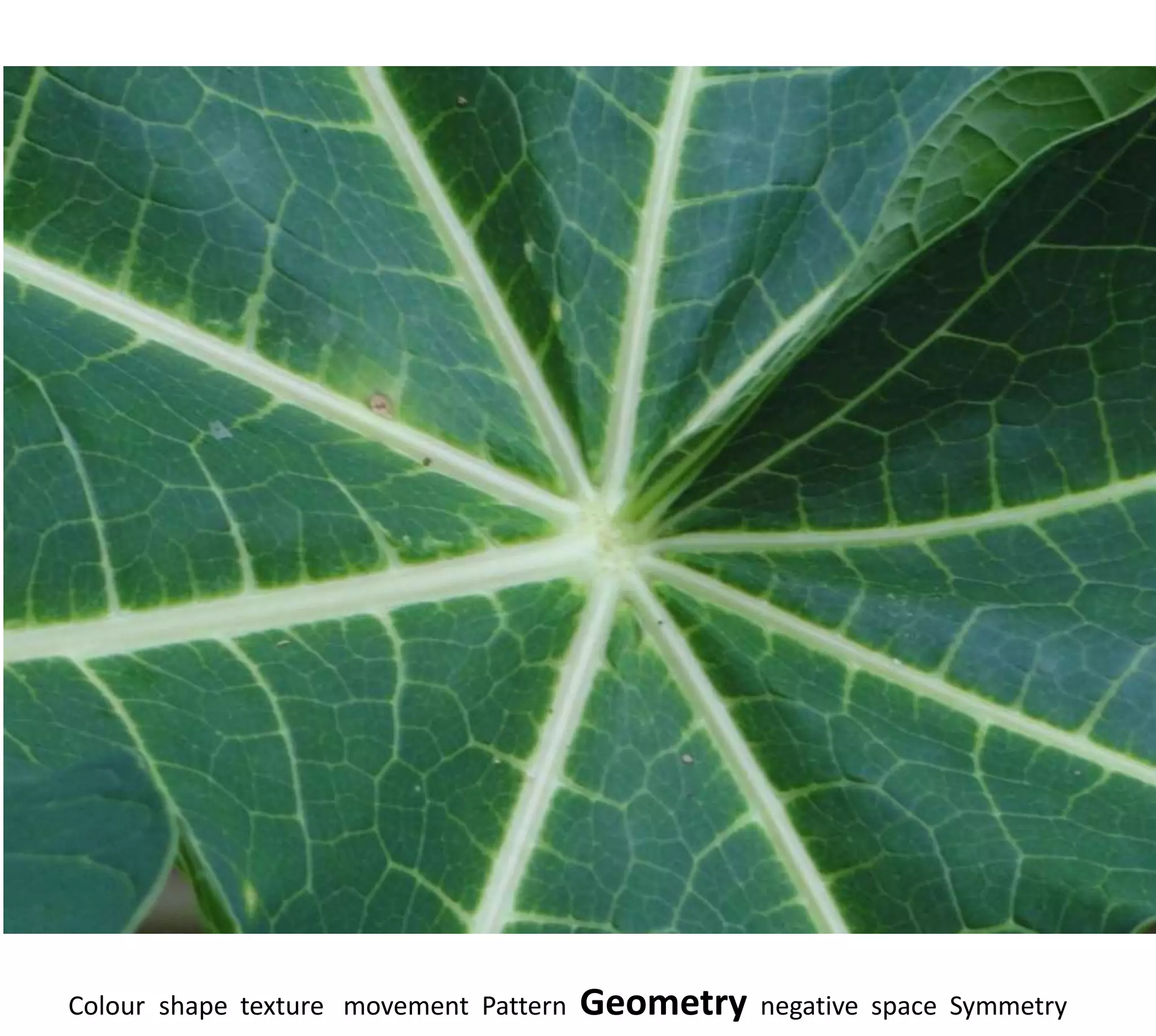 Colour shape texture movement Pattern   Geometry   negative space Symmetry
 