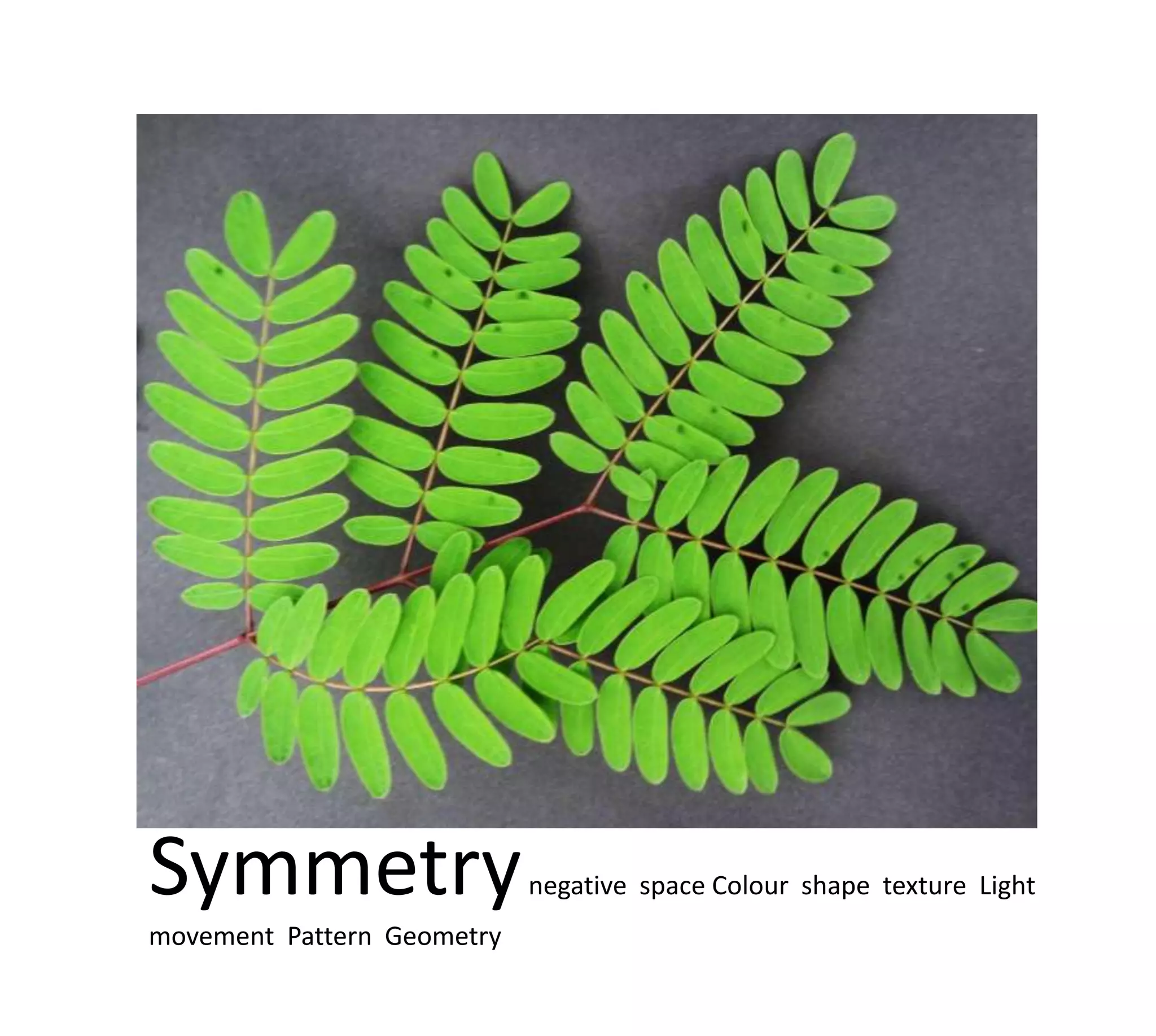 Symmetry                    negative space Colour shape texture Light
movement Pattern Geometry
 