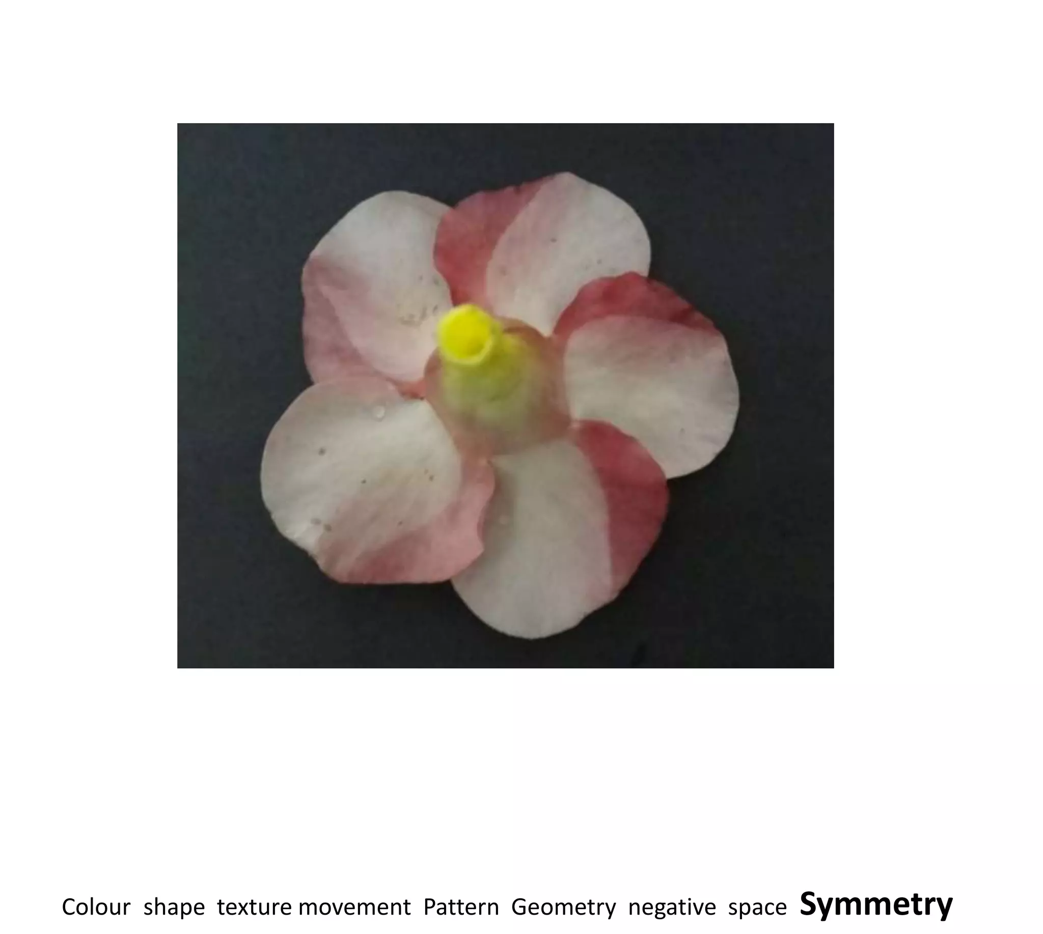 Colour shape texture movement Pattern Geometry negative space   Symmetry
 