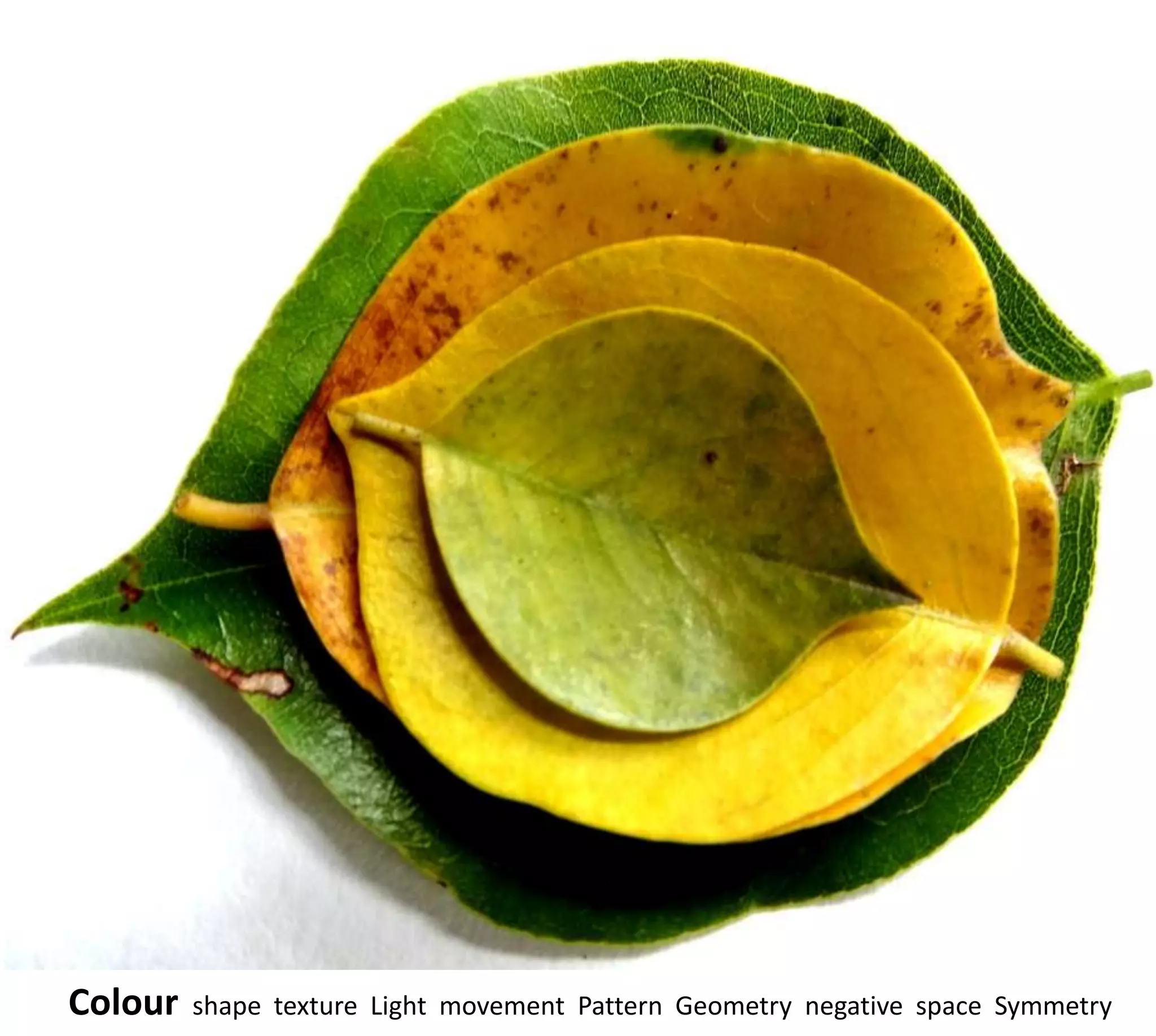 Colour   shape texture Light movement Pattern Geometry negative space Symmetry
 