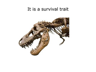 It is a survival trait 
