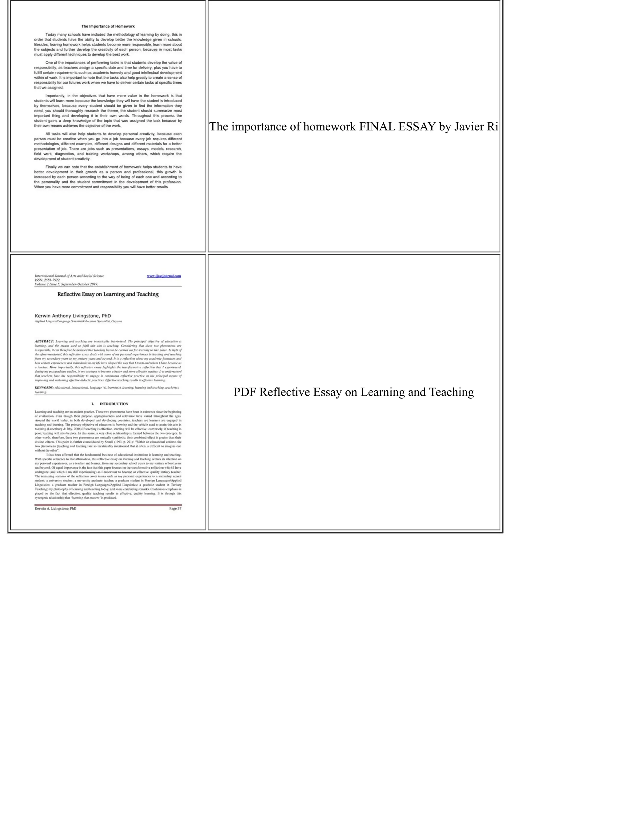 The importance of homework FINAL ESSAY by Javier Ri
PDF Reflective Essay on Learning and Teaching