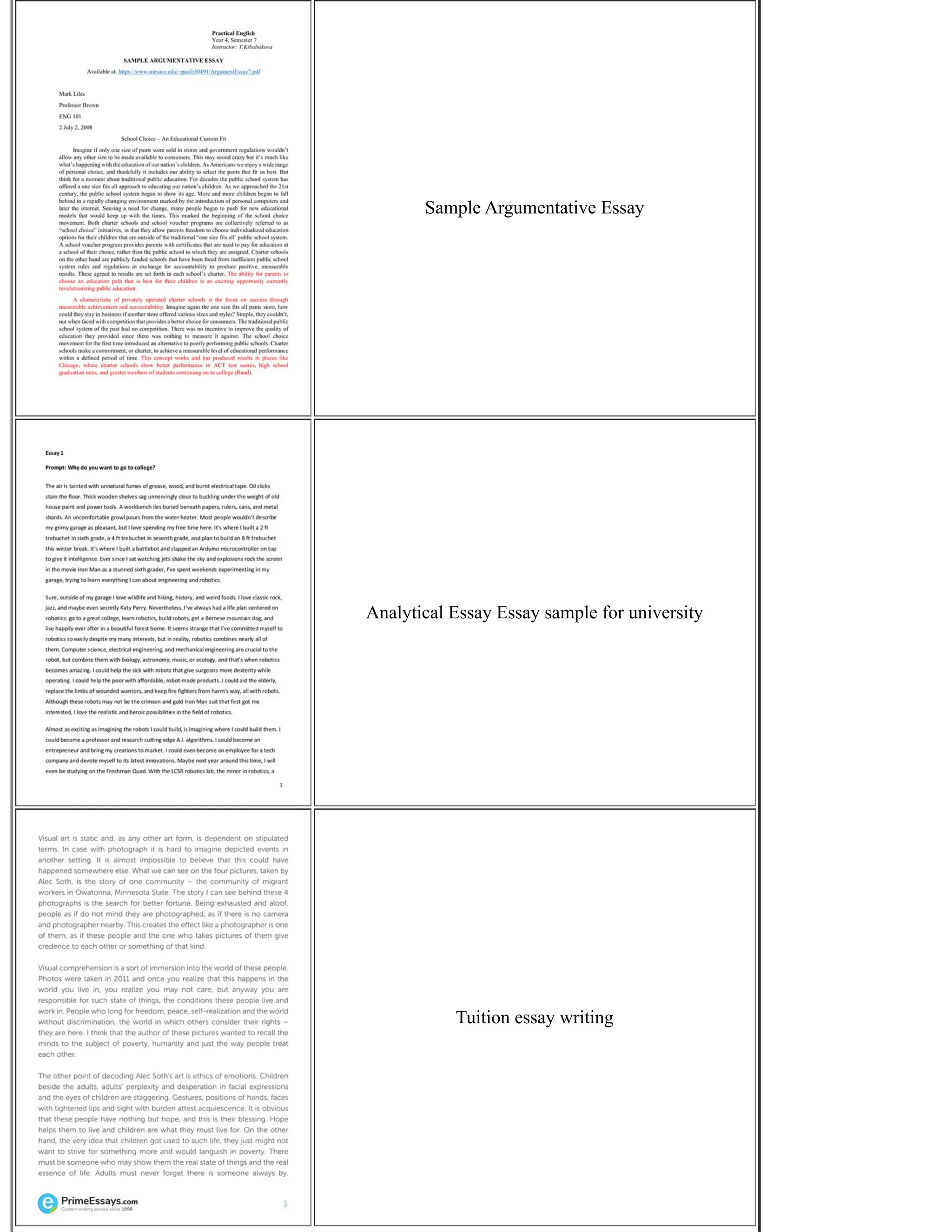 Sample Argumentative Essay
Analytical Essay Essay sample for university
Tuition essay writing