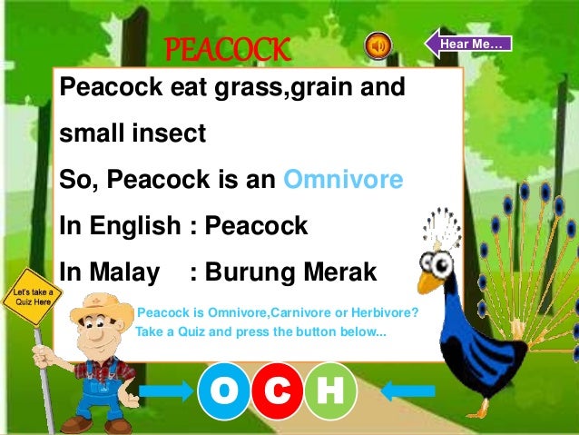 Learning With Animal World