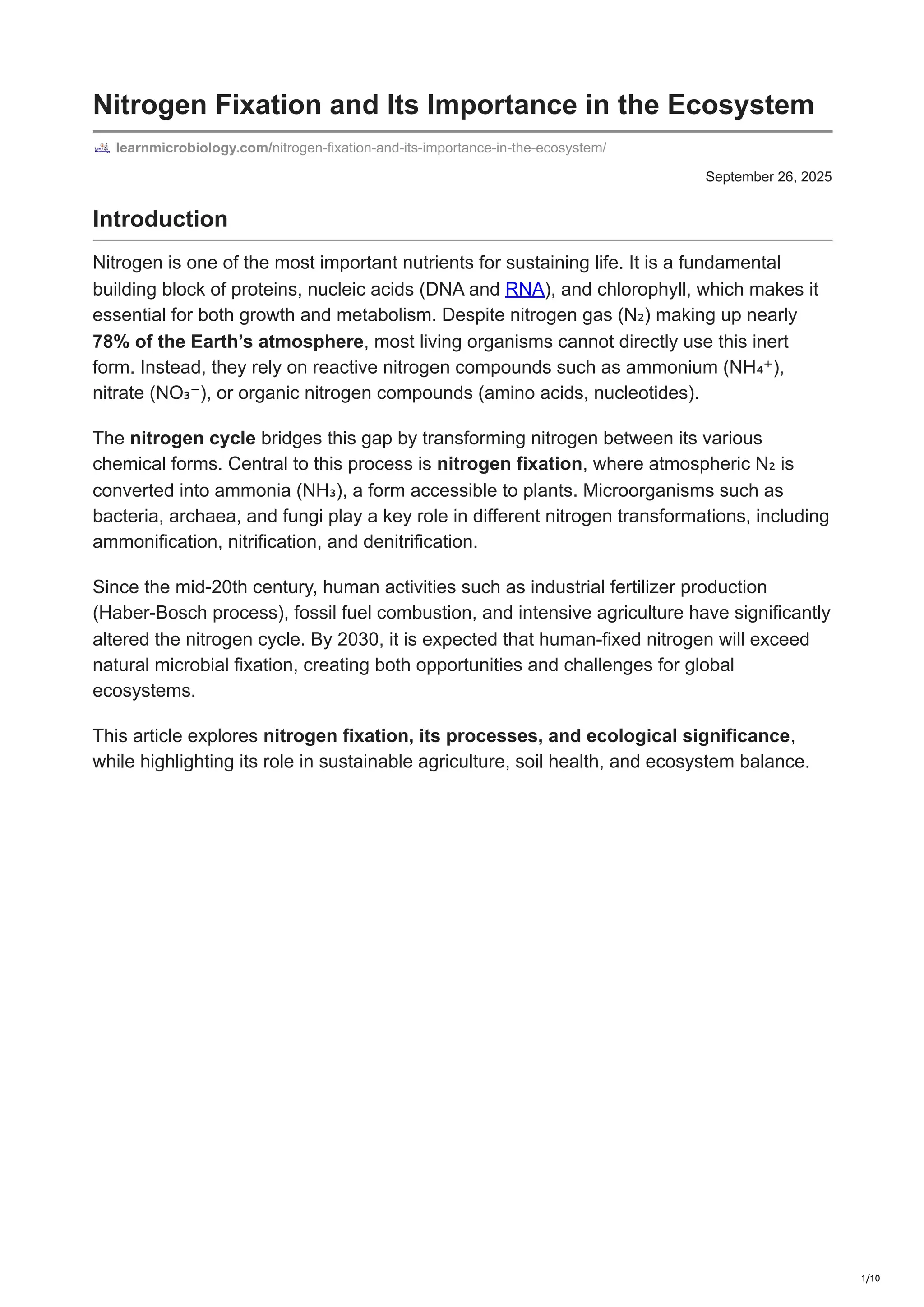 Nitrogen Fixation and Its Importance in the Ecosystem | PDF