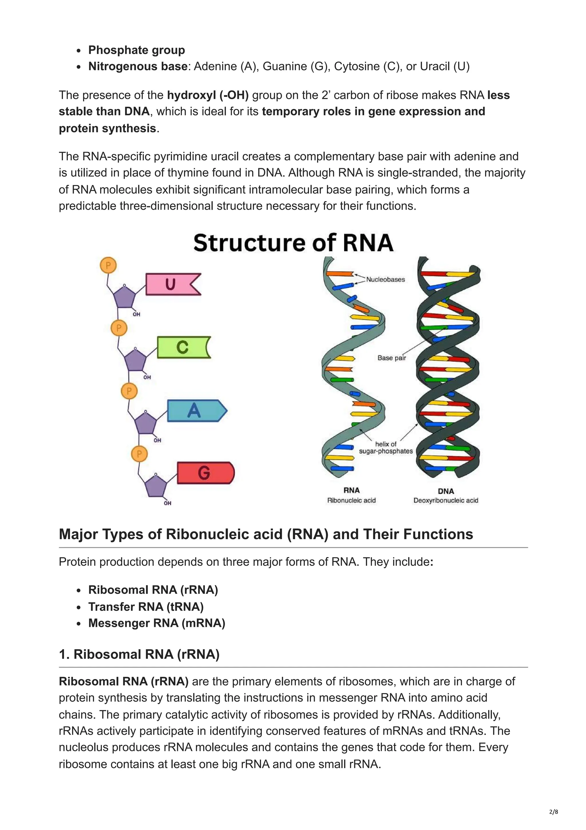 Structure Of Dna And Rna And Their Functions