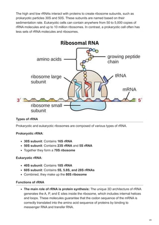 Ribonucleic acid (RNA): Types, Structure & their Function | PDF