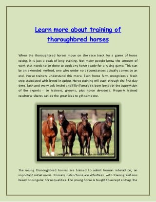 Learn more about training of
                    thoroughbred horses

When the thoroughbred horses move on the race track for a game of horse
racing, it is just a peak of long training. Not many people know the amount of
work that needs to be done to cook any horse ready for a racing game. This can
be an extended method, one who under no circumstances actually comes to an
end. Horse trainers understand this more. Each horse farm recognizes a fresh
crop associated with breed in spring. Horse training will start through the first day
time. Each and every colt (male) and filly (female) is born beneath the supervision
of the experts - be trainers, grooms, plus horse devotees. Properly trained
racehorse shares can be the great idea to gift someone.




The young thoroughbred horses are trained to admit human interaction, an
important initial move. Primary instructions are effortless, with training systems
based on singular horse qualities. The young horse is taught to accept a strap, the
 