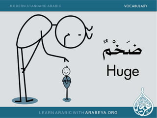 Learn new Modern Standard Arabic words with Arabeya