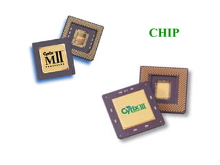 CHIP
 