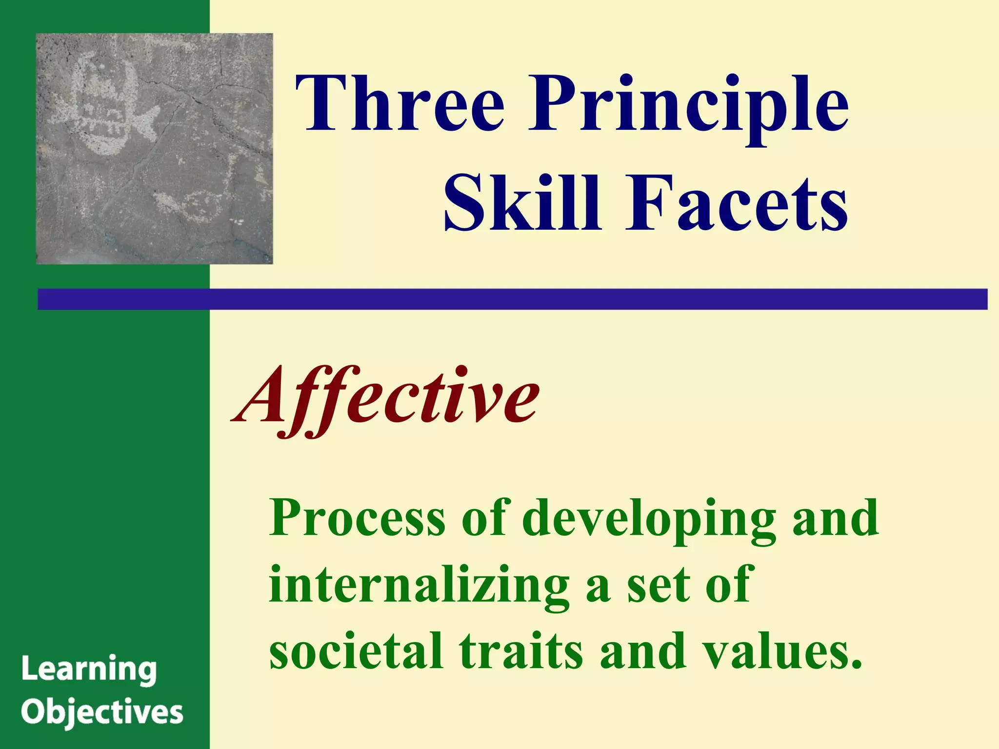 Three Principle
    Skill Facets

Affective
Process of developing and
internalizing a set of
societal traits and values.
 