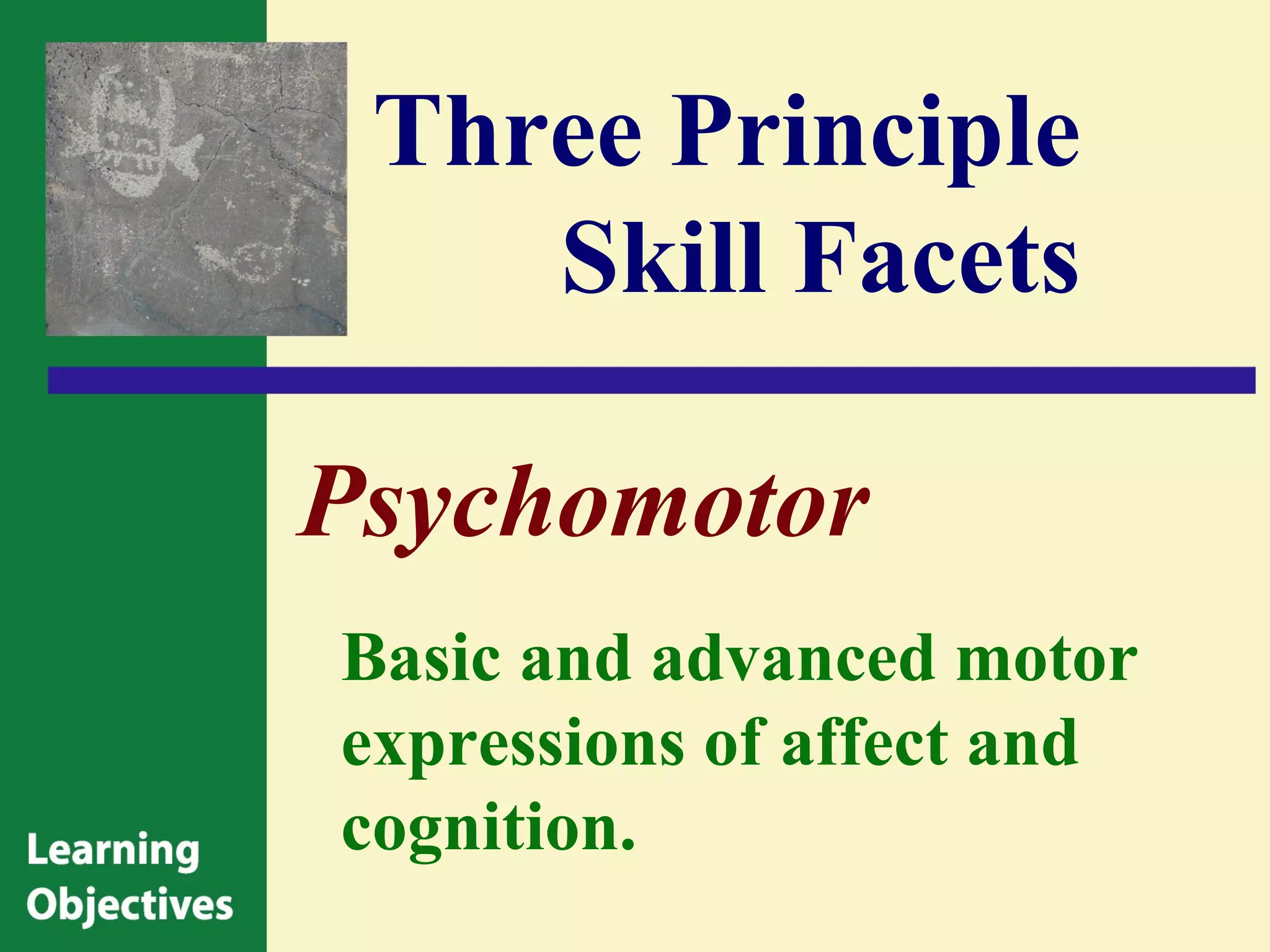 Three Principle
    Skill Facets

Psychomotor
Basic and advanced motor
expressions of affect and
cognition.
 