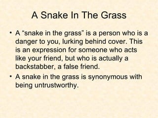 A Snake In The Grass A “snake in the grass” is a person who is a danger to you, lurking behind cover. This is an expression for someone who acts like your friend, but who is actually a backstabber, a false friend.  A snake in the grass is synonymous with being untrustworthy. 
