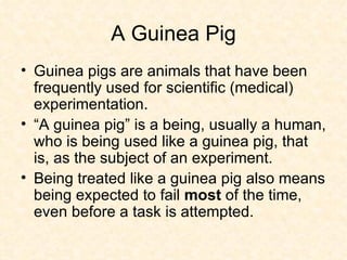 A Guinea Pig Guinea pigs are animals that have been frequently used for scientific (medical) experimentation.  “A guinea pig” is a being, usually a human, who is being used like a guinea pig, that is, as the subject of an experiment.  Being treated like a guinea pig also means being expected to fail  most  of the time, even before a task is attempted. 
