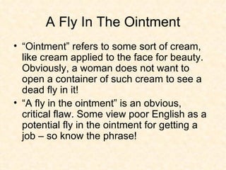 A Fly In The Ointment “Ointment” refers to some sort of cream, like cream applied to the face for beauty. Obviously, a woman does not want to open a container of such cream to see a dead fly in it! “A fly in the ointment” is an obvious, critical flaw. Some view poor English as a potential fly in the ointment for getting a job – so know the phrase! 