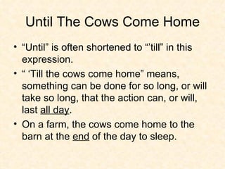 Until The Cows Come Home “Until” is often shortened to “’till” in this expression. “ ‘Till the cows come home” means, something can be done for so long, or will take so long, that the action can, or will, last  all day .  On a farm, the cows come home to the barn at the  end  of the day to sleep. 