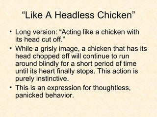 “Like A Headless Chicken” Long version: “Acting like a chicken with its head cut off.”  While a grisly image, a chicken that has its head chopped off will continue to run around blindly for a short period of time until its heart finally stops. This action is purely instinctive.  This is an expression for thoughtless, panicked behavior. 