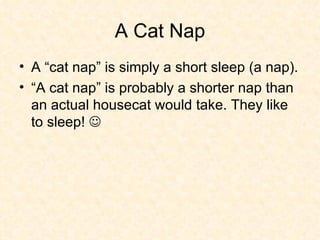A Cat Nap A “cat nap” is simply a short sleep (a nap). “A cat nap” is probably a shorter nap than an actual housecat would take. They like to sleep!   