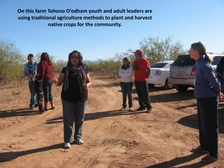 On this farm Tohono O’odham youth and adult leaders are
using traditional agriculture methods to plant and harvest
              native crops for the community.
 