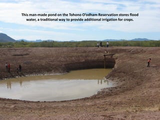 This man-made pond on the Tohono O’odham Reservation stores flood
   water, a traditional way to provide additional irrigation for crops.
 
