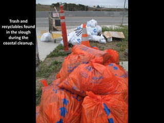 Trash and
recyclables found
  in the slough
    during the
 coastal cleanup.
 