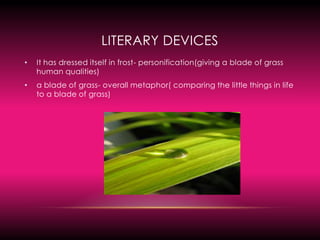 Literary devicesIt has dressed itself in frost- personification(giving a blade of grass human qualities) a blade of grass- overall metaphor( comparing the little things in life to a blade of grass)