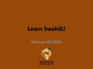 Learn Swahili!
African Wildlife
 