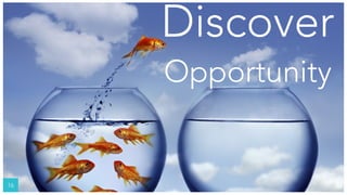 16
Discover
Opportunity
 