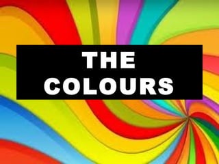 THE
COLOURS

 