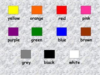 yellow

orange

red

pink

purple

green

blue

brown

grey

black

white

 