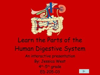 Learn the Parts of the Human Digestive System An interactive presentation By: Jessica West 4 th -5 th  grade ED 205-03 